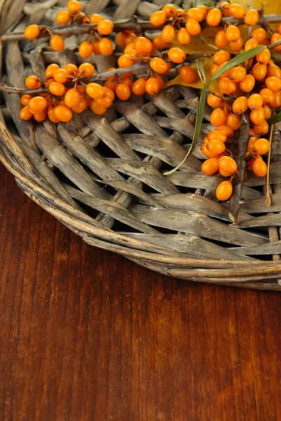 Branch of sea buckthorn on wicker stand on wooden background — Stock Photo, Image