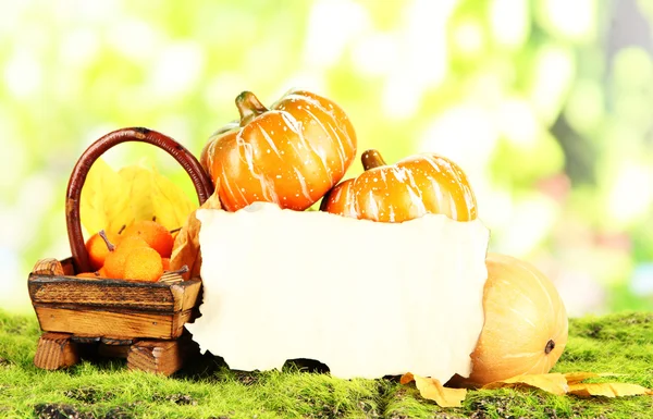Jesienna kompozycja na tle przyrody — Zdjęcie stockowe
