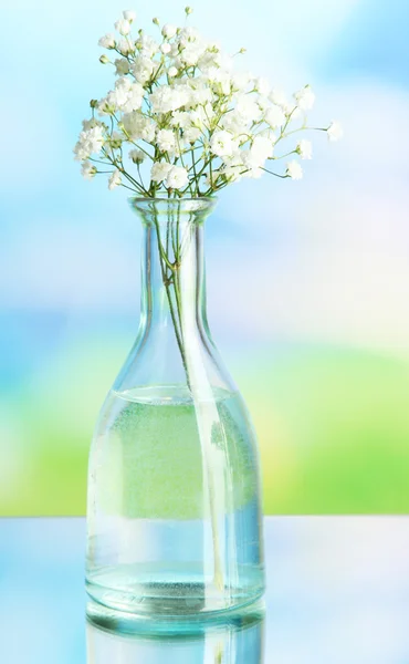 Flowers in bottle on natural background — Stock Photo, Image