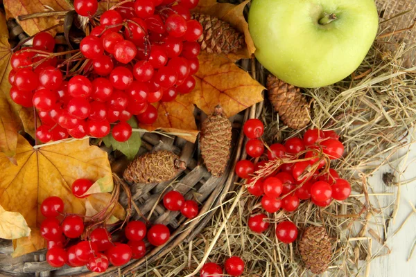 Rode bessen van planten van viburnum met gele bladeren en appels op rieten staan op houten achtergrond — Stockfoto