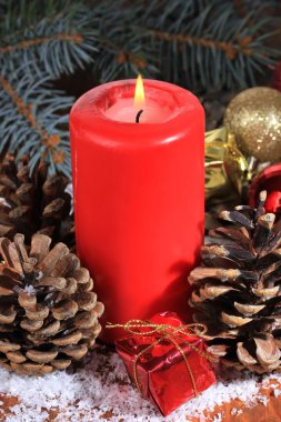 çam kozalakları yakın çekim ile Noel dekorasyon