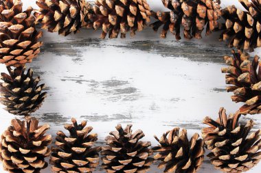 ahşap zemin üzerinde güzel çam kozalakları