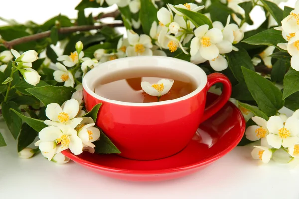 Tazza di tè con gelsomino, isolato su bianco — Foto Stock