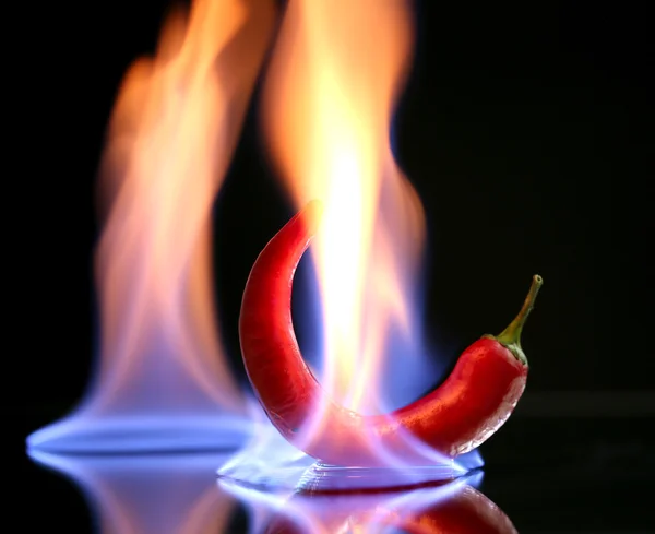 Red hot chili pepper on fire, isolated on black — Stock Photo, Image