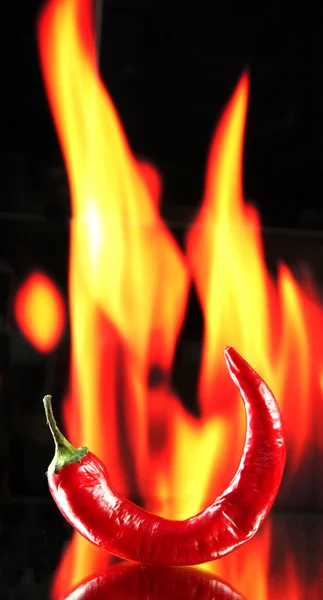 Rote scharfe Chilischote auf Feuer Hintergrund — Stockfoto