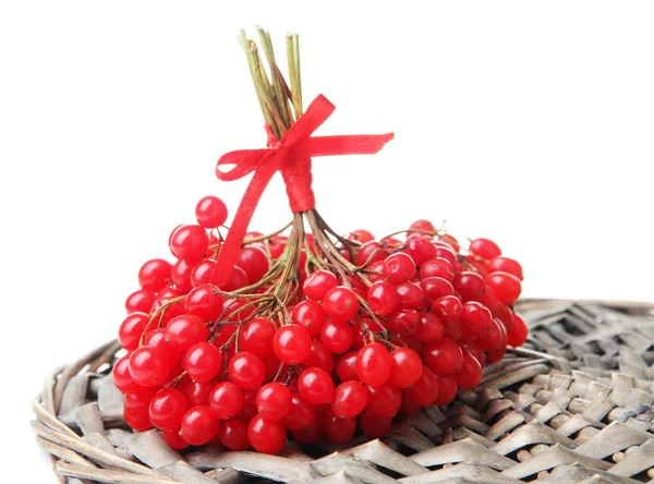 Kartopu beyaz izole kırmızı meyveler — Stok fotoğraf