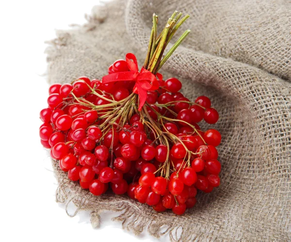 Red berries of viburnum on sackcloth napkin, isolated on white — Stock Photo, Image