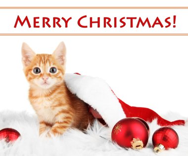 Cute little red kitten in Santa hat isolated on white