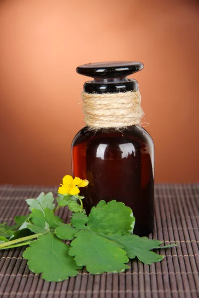 Celidonia floreciente con frascos de medicamentos en la mesa sobre fondo marrón — Foto de Stock