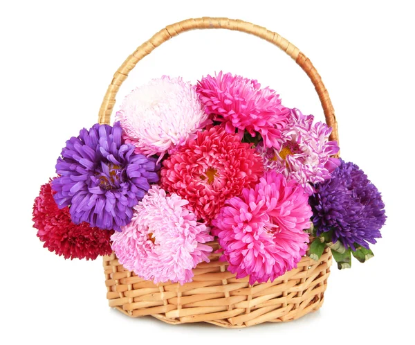 Bright aster flowers in basket, isolated on white — Stock Photo, Image