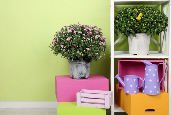 Цветы в горшках с цветными коробками на полках на фоне стен — стоковое фото