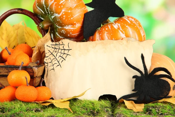 Halloween složení na pozadí přírody — Stock fotografie