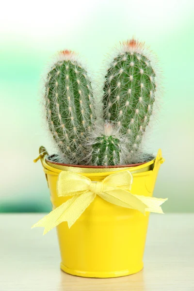 Beau cactus en seau lumineux sur table en bois — Photo