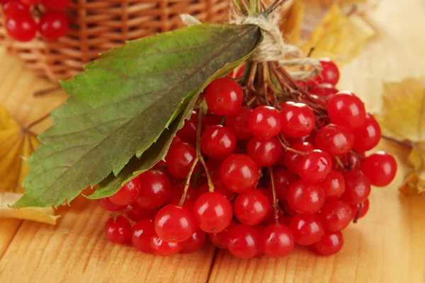 Red berries of viburnum with basket and yellow leaves on wooden background — Stock Photo, Image