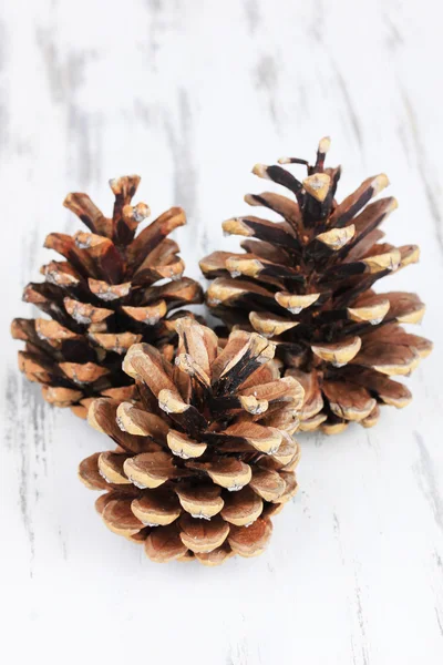 Beautiful pine cones — Stock Photo, Image