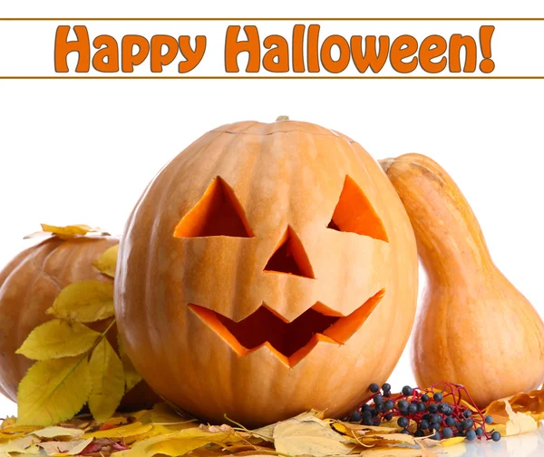 Halloween-Kürbisse und Herbstblätter, isoliert auf weiß — Stockfoto