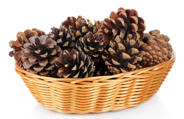 Bonitos cones de pinho em cesta de vime isolado em branco — Fotografia de Stock