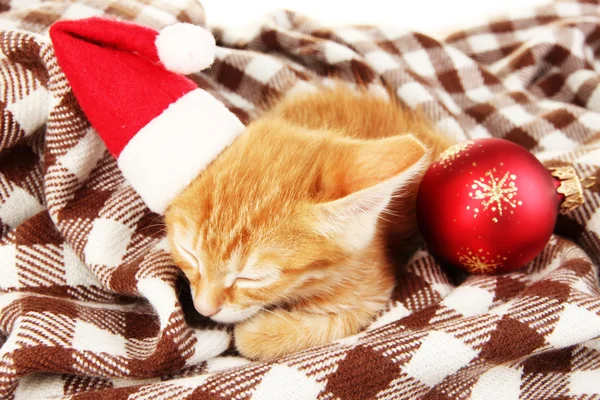 Cute little red kitten sleeps in plaid close up — Stock Photo, Image