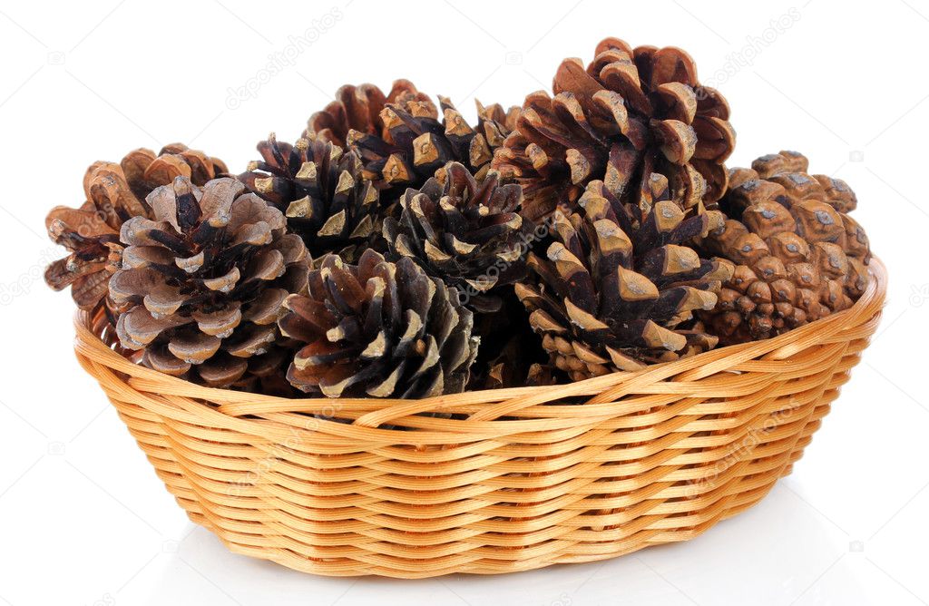 Beautiful pine cones in wicker basket isolated on white