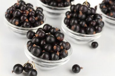 beyaz izole taze Siyah frenk üzümü