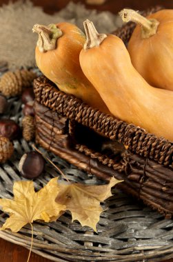 Kabak ile sonbahar kompozisyon