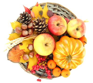 beyaz izole güzel sonbahar kompozisyon