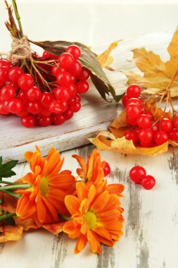 Kartopu ile sarı yaprak ve çiçek ahşap arka plan üzerinde kırmızı meyveler