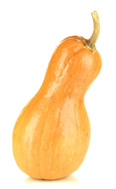 Olgun balkabağı beyaz izole