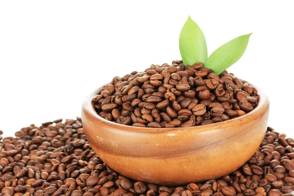 Coffee beans in bowl on white background — Stock Photo, Image