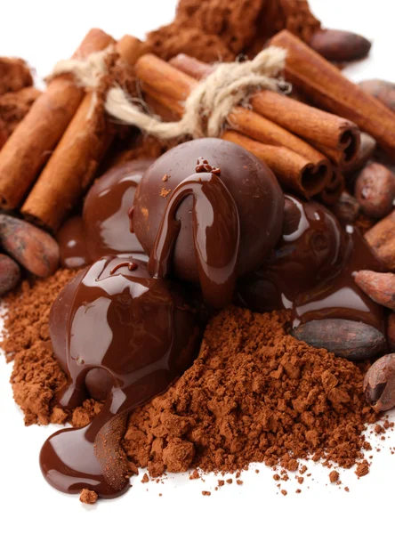 Samenstelling van chocolade snoepjes, cacao en specerijen, geïsoleerd op wit — Stockfoto