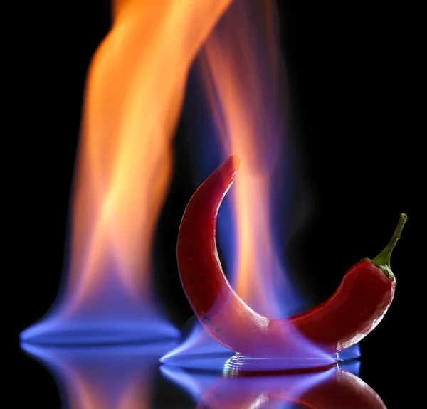 Red hot chili pepper on fire, isolated on black — Stock Photo, Image
