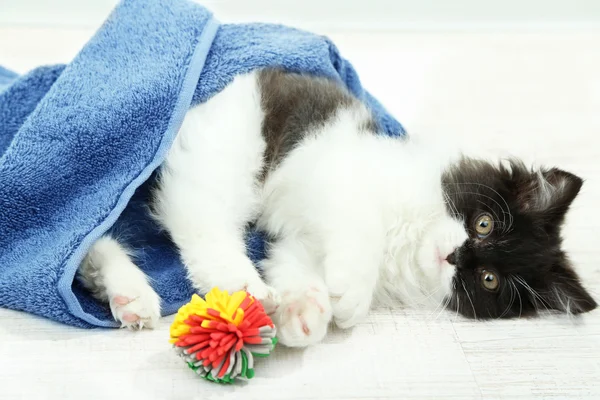 Lilla söta kattunge med bollen och handduk på golvet — Stockfoto