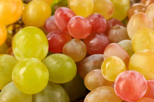 Спелый сладкий виноград, закрой — стоковое фото