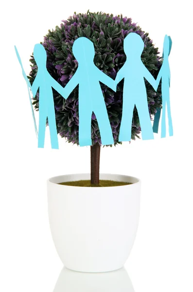 Árvore decorativa em vaso isolado em branco — Fotografia de Stock