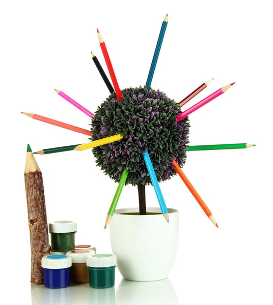 Decoratieve boom met kleurrijke potloden in pot geïsoleerd op wit — Stockfoto