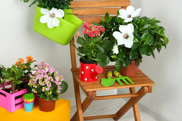 Many beautiful flowers on chair in room close-up — Stock Photo, Image