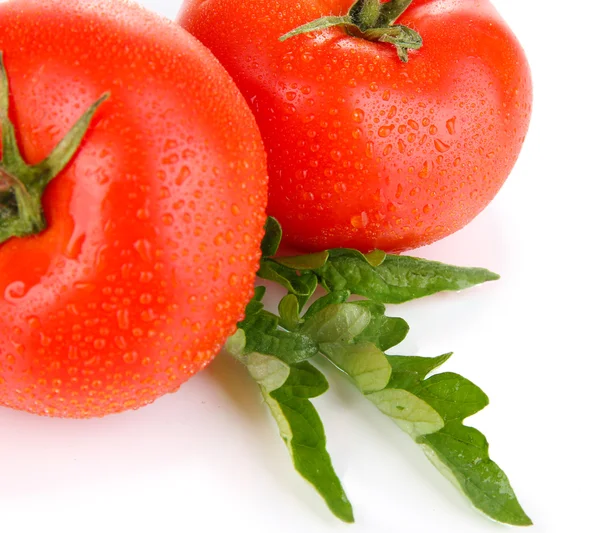 Ripe tomatoes isolated on whit — Stock Photo, Image