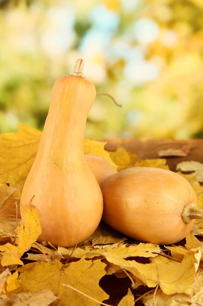 Reife Kürbisse auf gelben Herbstblättern auf natürlichem Hintergrund — Stockfoto