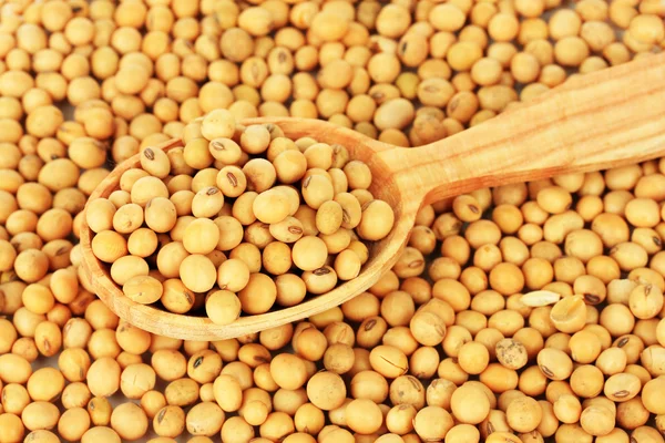 Soy beans close-up — Stock Photo, Image