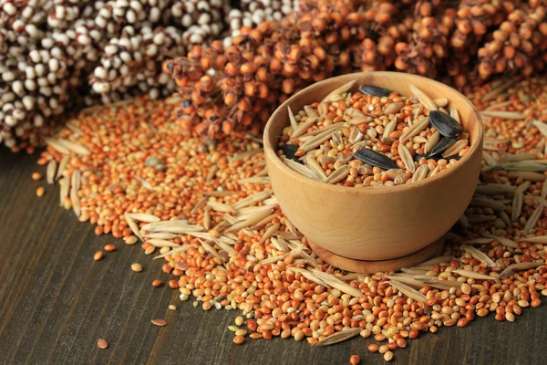 Alimento para loros sobre fondo de madera —  Fotos de Stock