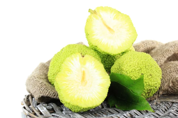 Osage Orange fruits (Maclura pomifera) — Stock Photo, Image