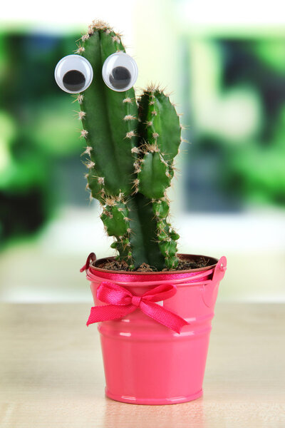 Funny cactus with eyes