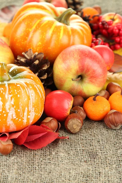 Bella composizione autunnale, da vicino — Foto Stock