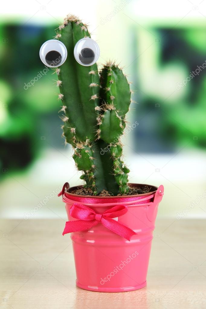 Funny cactus with eyes