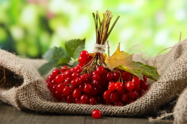 Red berries of viburnum on sackcloth napkin, on bright background — Stock Photo, Image