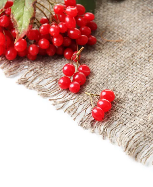 Red berries of viburnum on sackcloth napkin, isolated on white — Stock Photo, Image