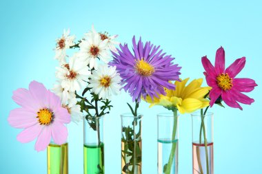 test tüpleri üzerine açık mavi renkli çiçekler