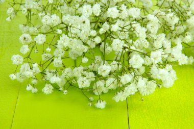 ahşap zemin üzerinde güzel gypsophila çiçekler