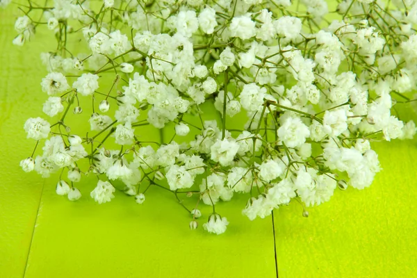 Lindas flores de gypsophila em fundo de madeira — Fotografia de Stock