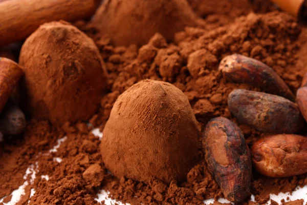 Trufle czekoladowe i kakao, z bliska — Zdjęcie stockowe